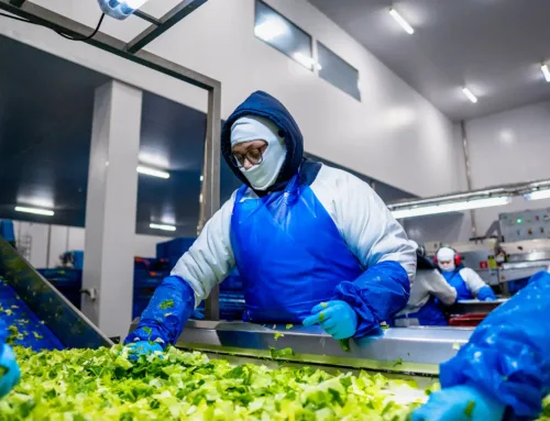 Salada Higienizada: Principais Dúvidas Respondidas (É Segura? Tem Conservantes?)