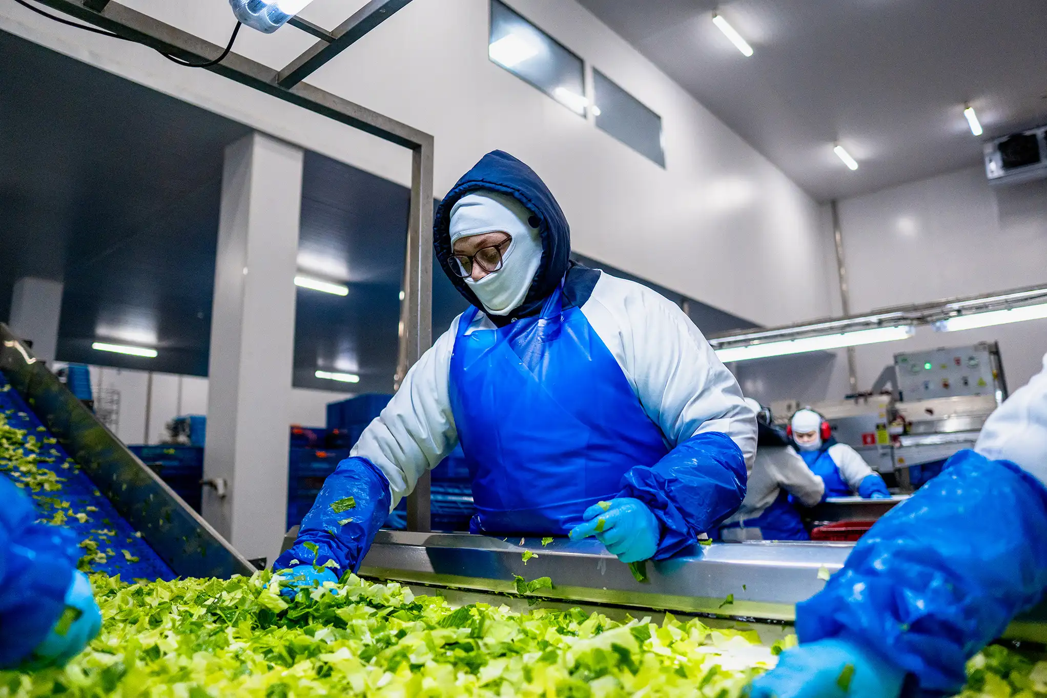 Colaboradora da La Vita realizando seleção manual de hortaliças na linha de produção