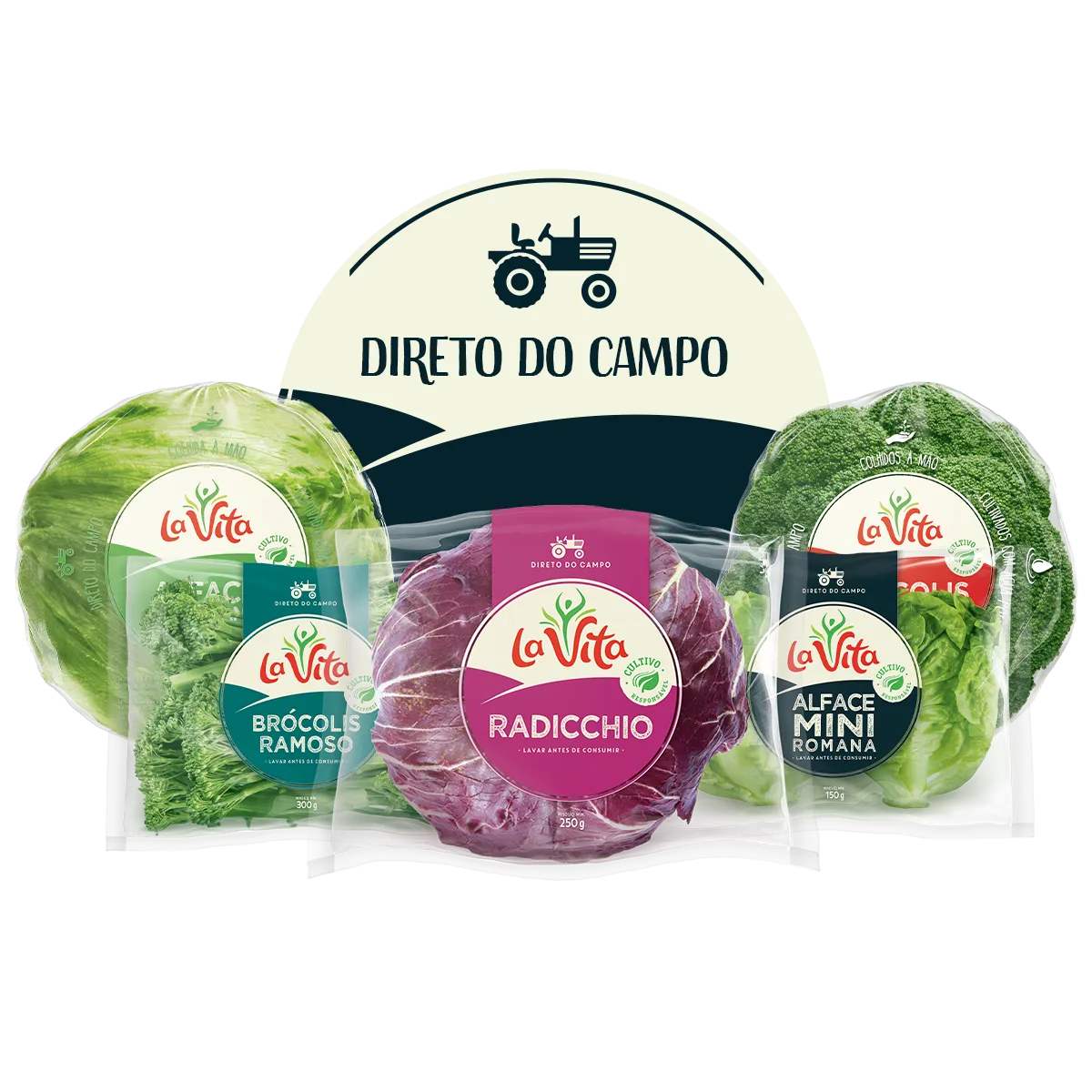 Portfólio Linha Direto do Campo La Vita com hortaliças frescas