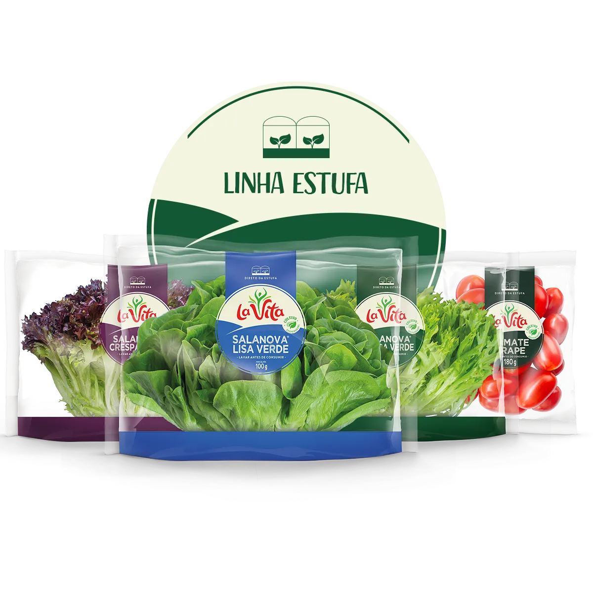 Portfólio Linha Estufa La Vita com alfaces e tomate grape