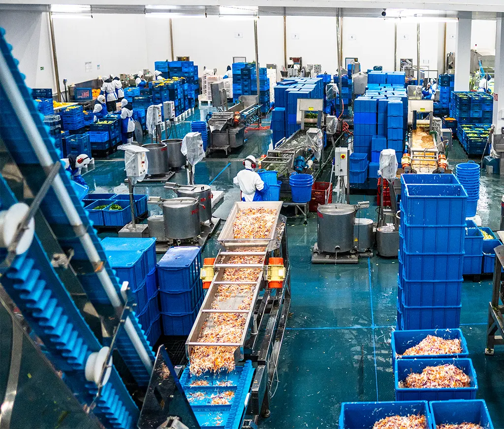 Unidade industrial da La Vita com linha de processamento de hortaliças