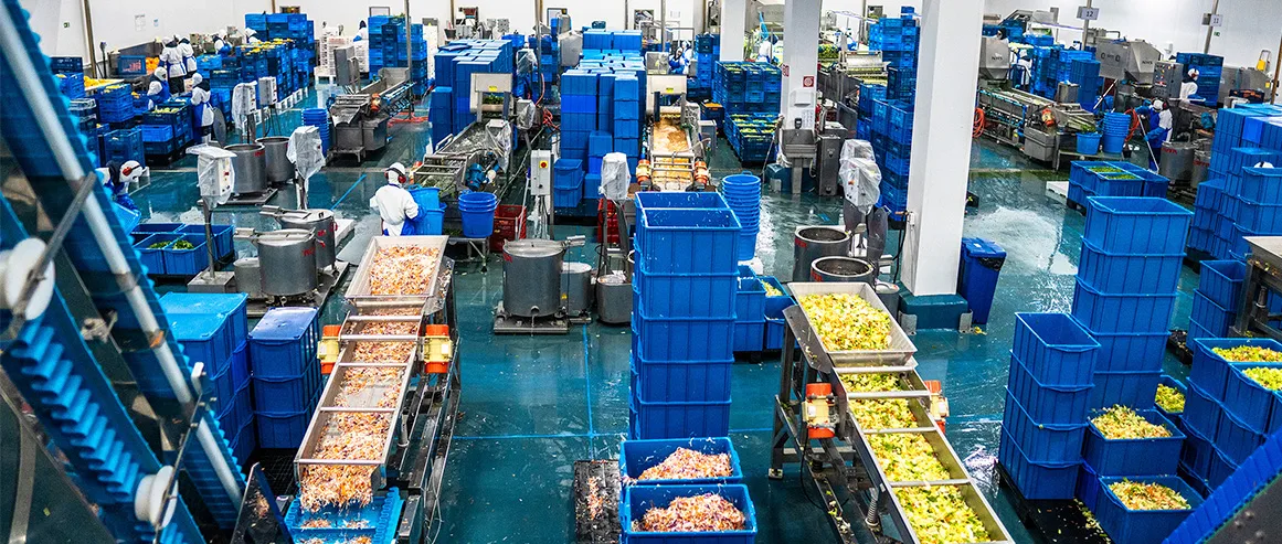 Unidade industrial de processamento de hortaliças da La Vita