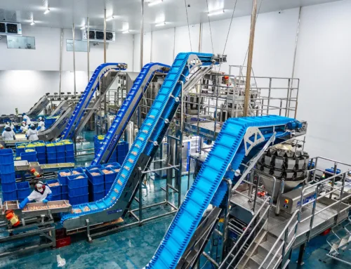 Boas práticas na produção de saladas higienizadas: segurança e qualidade do campo à mesa