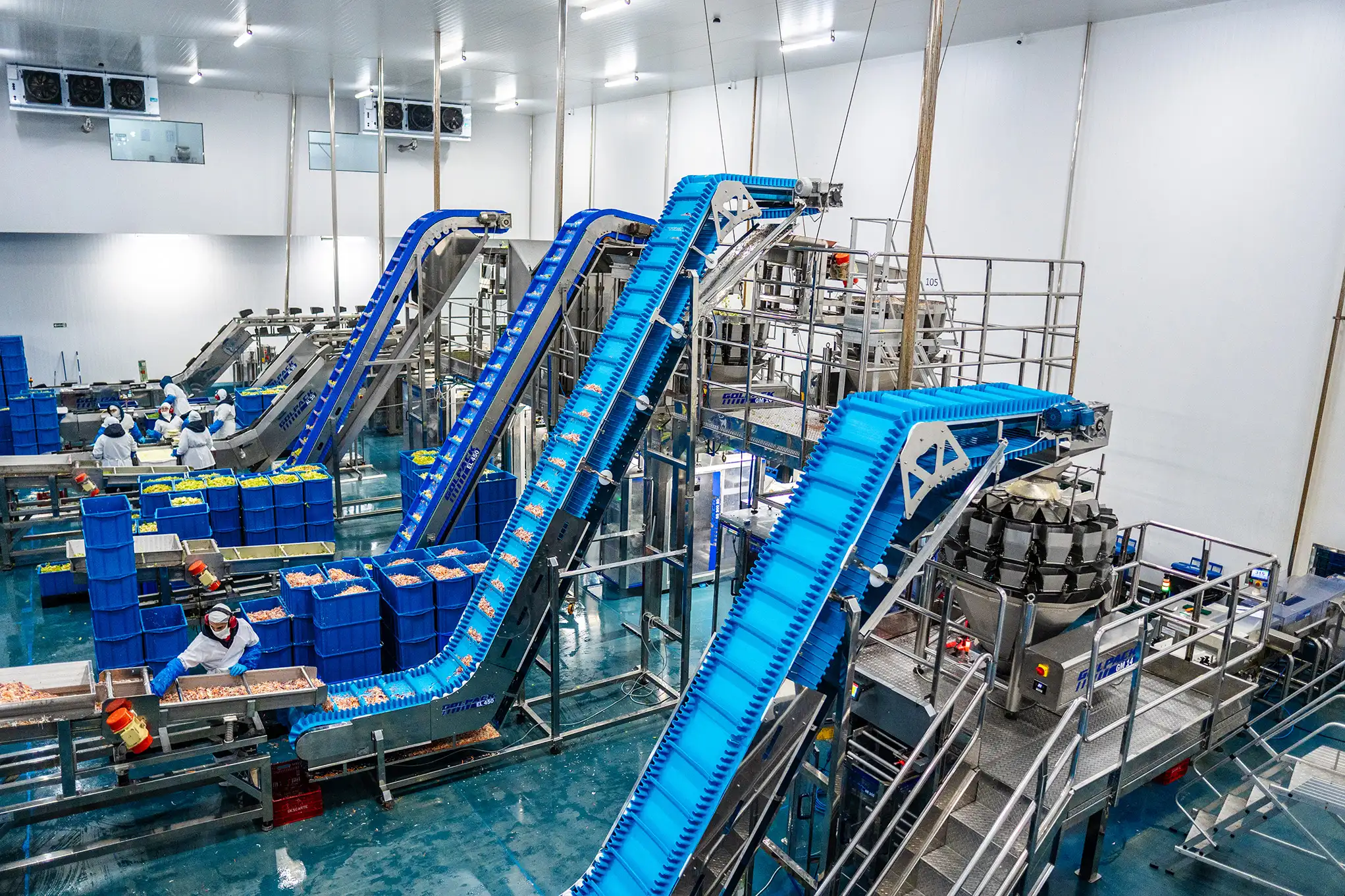 Linha automatizada de processamento de hortaliças na indústria La Vita